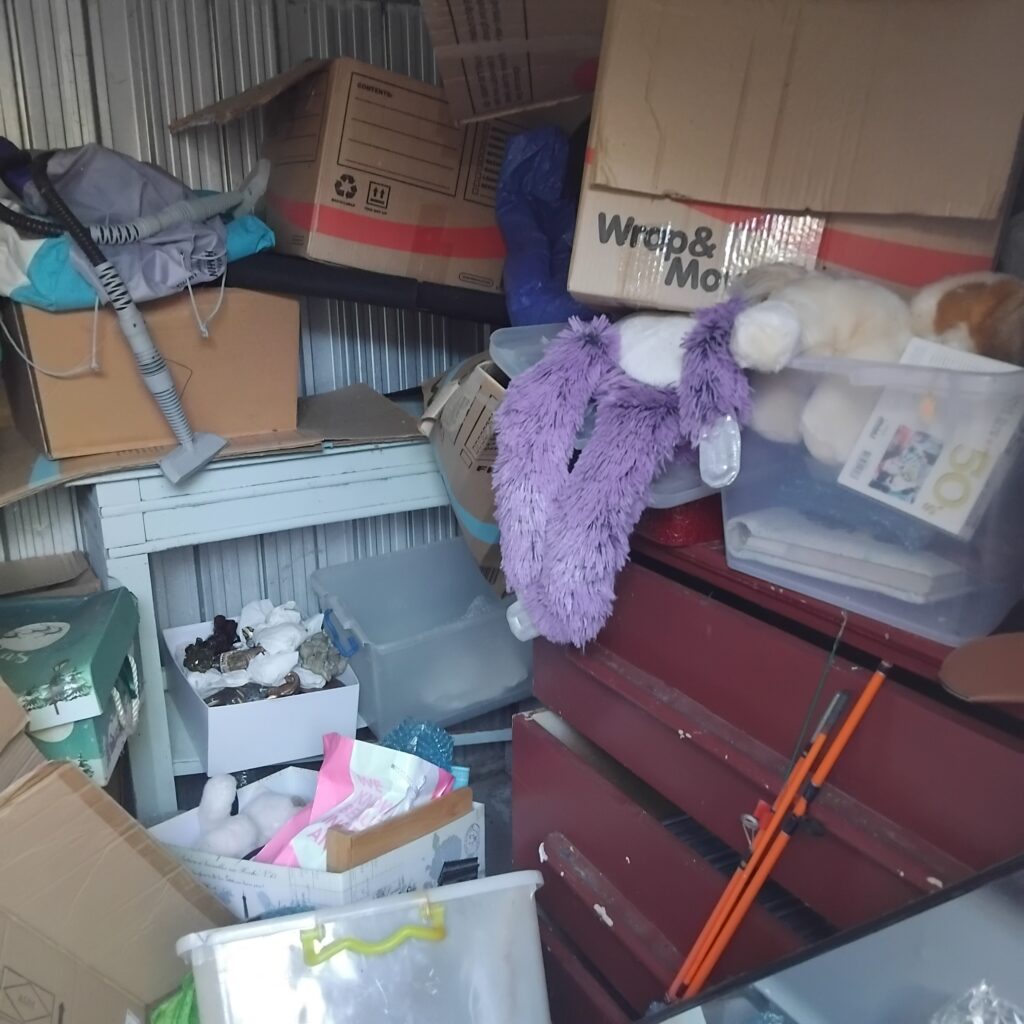 The Side shed cleanout!!!