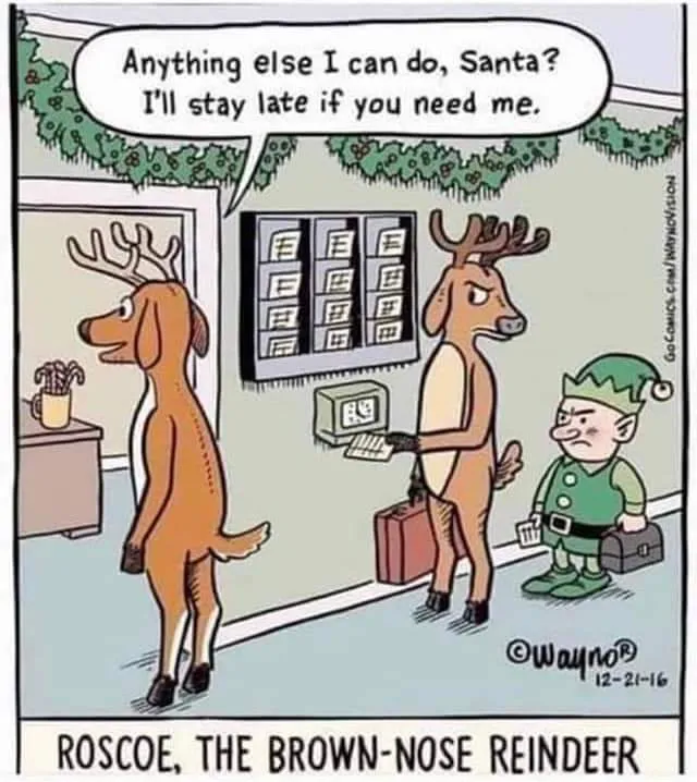 have a laugh a funny picture to make you laugh