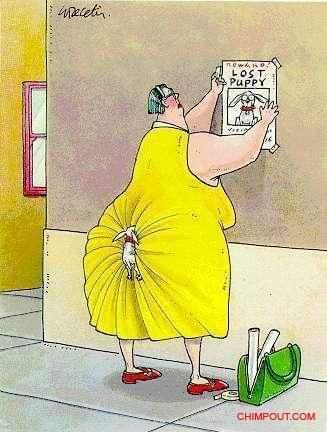 have a laugh funny picture to make you laugh