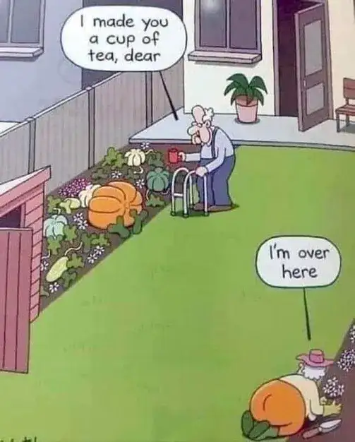 have a laugh a funny picture to make you laugh