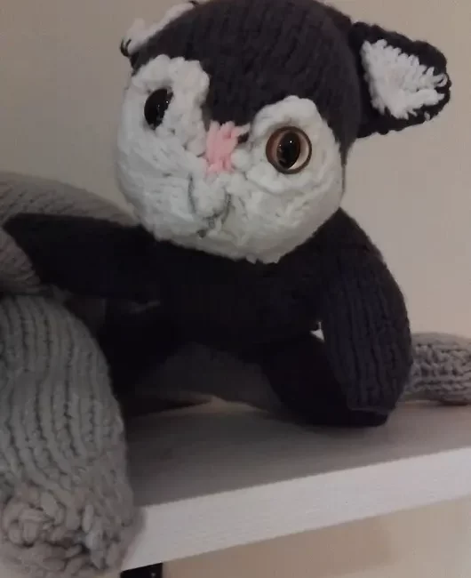 How to Embrace Knitting Mistakes: The Story of My Ugly Cats one of my ugly cats