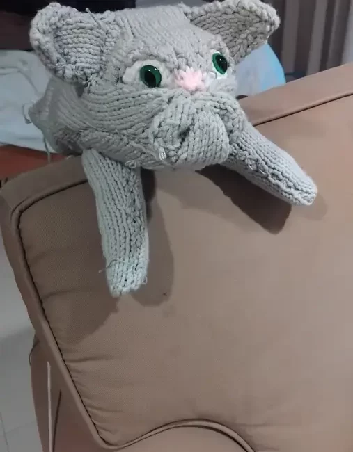 How to Embrace Knitting Mistakes: The Story of My Ugly Cats ezgif 6ff30d64d68e5e 507x650 (1)