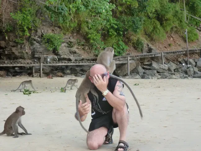 ezgif 1741ca2bad53ab86