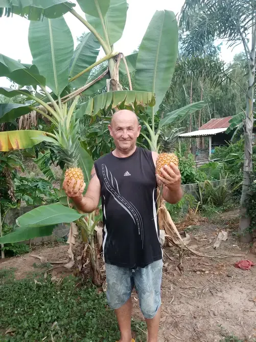 ezgif 1977ed0ff26d04c2