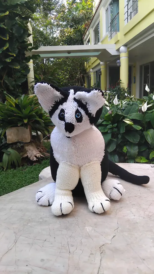 The Beauty of the Botched: My Newest Ugly Cat ezgif 7ce09d73fc36055c