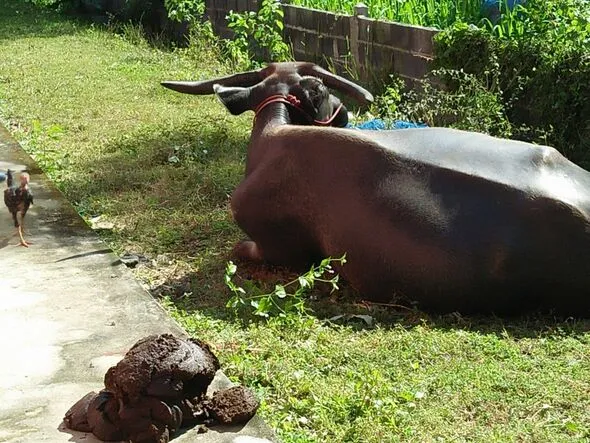 ezgif 85b3a3261f8fe773