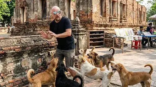 Street dogs confronting a visitor outside a Rayong temple